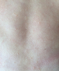 Ӥ������һ����