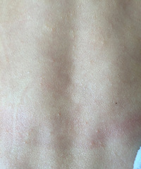 Ӥ������һ����