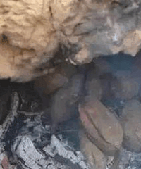 ��������ȥ���������ϼ�֮��, �����ø������֡���