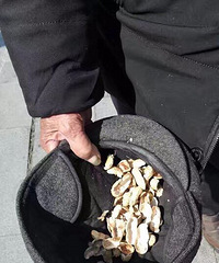 �������һĻ���ϴ�ү���껨���ѿǷ���ñ���� �ԳƲ����Ҷ�����