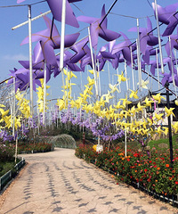 88���Ϻ��ӡ����з��г� �Ҹ�����160+��