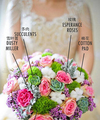 ����Ҳ������������