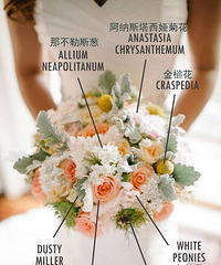 ����Ҳ������������