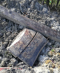 ����һ�ѹײı��ڳ� ʬ�崩�Źٷ�