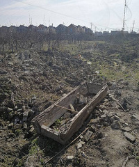 ����������һĹ��Ⱥ���Ʊ����ڣ��ֳ���ľ���ź�ɢ��һƬ...