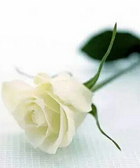 ˭˵Ů�˶���ʵ���ܶ�ʱ����������һ�������г���������