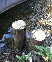 �Լ�ȥǧ�����������ʿ��� but�������ϵ��߾�Ȼ��������