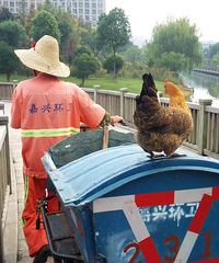 ��Ц��19¥�����ֻ���ͷ��ļ�����Ĭ��������� ��������