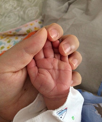 ������ֻ�ֶ��Ƕ��� ����˵����Ӳ ���ţ�