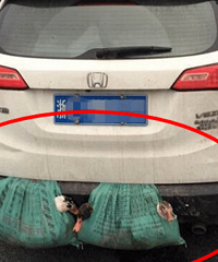 ��Ȼ��������װ��������ѹ