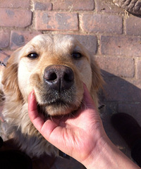 �����1000�����Ů���ߵ���һ�� �ҷ�������Ϊ��������