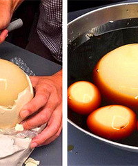 ������һ����������