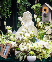 �ҵĻ��� ���컨��1W���� �ֳ�Ҳ����