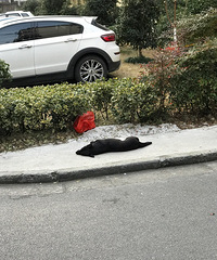 ������ײ����Ҳ��Ըѹ���������ϸ�̰��Ů������Ҳ���Ǻ��۸���