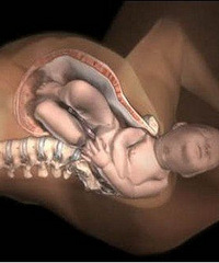 һֱû������ ����ָɣ��������µ�����ĸ��