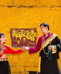 �ҵ����ػ�ɴ�մ�Ƭ ����8K���� ������