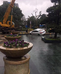 ����ĳ�Ƶ����ſںô�һ���ӣ���ɫ�γ�һ��С�����н�ˮ��ȥ��