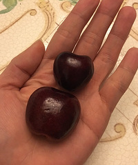 �����ҳԹ����ĳ������ˣ���ͷ����ͨ�����ӵ�������