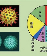 ������Ⱦ��״���� ��к����4�� û���� ûθ��...