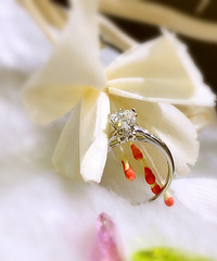 �ҵ���� ����Ƹ嵽��Ʒ ȫ�������һö