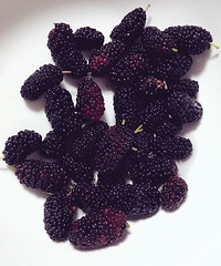 ��ôһ������Ҫ�ſ�Ǯ �����Ұ���ͷ�ڵ��ˣ�