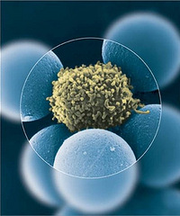 ����35�� �����ϸ���������� ���ڸ�Ⱦƫ��...