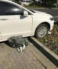 װ�˺��̵�û��Ӧ���� һ����ɲ��������ȥ�ˣ�