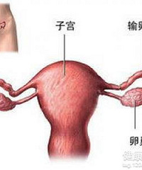 ���꺢�Ӻ��Ҳ��ӹ����� ������ Ҫ����