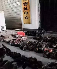 ����10000��ֻ��ȸ�� �����˵������Ƿ��ѵ�