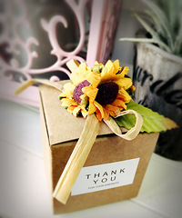 5�»��ڣ��ҵ�ɭϵϲ�Ǻ�