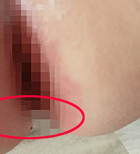 ����С������Χ����һƬ