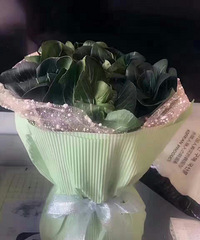 ���ǵ����˽����ﶼ�����ˣ��������Ϲ��͵� һ����ˣ�