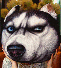 ɹ��ʳӮ3D������