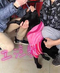 ��֪ʶ��������Ȧ��������ţȮ�˹��ܾ����� �����ˣ�