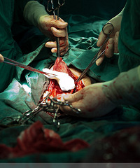 �����ʸ�����19���� ���ڻ����϶� ��������...