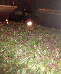 ͻ�����f���С��ײ�̻��� 2����ȫ������