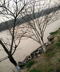 ʵ�ģ��º���԰���˺Ӷ� ��һ��������Լ���׵�̮��