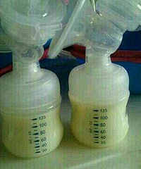 ������̷��� ĸ���ر�� �ǵ����� �Դ����Ҳûʲô��...