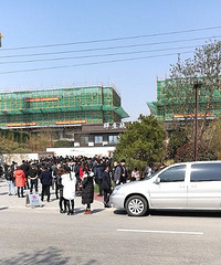 �Ϻ��н鷢�ģ�������ľ�������ɽ�˺���