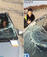 ���˸��ٷ������� С�γ���䳨�񳵣�