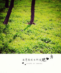 96��Ķ��������� �������͵�Ҫô����Ҫô����