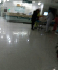 ����12���к���Ϊ��������賳�� ���������Ծƽ����ҽ