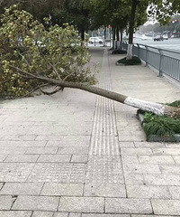 һ��ͼ֤��������������ж�������������ˣ�