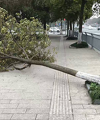 ������������ж�������������ˣ�