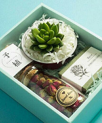 ���������ֿ�����