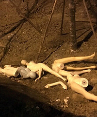 大晚上去跑步 吓人一跳!"裸男裸女"...
