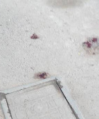 [ʹ��]�������˶�̥ 14��Ů��ȴ��¥������