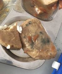 食堂被黑心老板承包了 给我们吃的菜都是发霉的!发个图感受一下