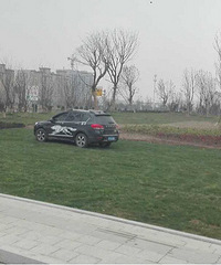 û���ʾ����㣡��Ȼ�ѳ�ͣ�ڸ��ֺõĲ�ƺ��...