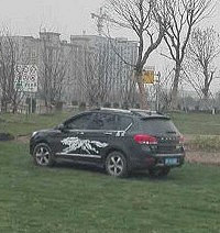 û���ʣ���Ȼ���˰ѳ�ͣ�ڸ��ֺõĲ�ƺ��